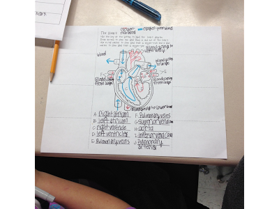 The Science Life: Mrs. Brown, Um...That's Not Right