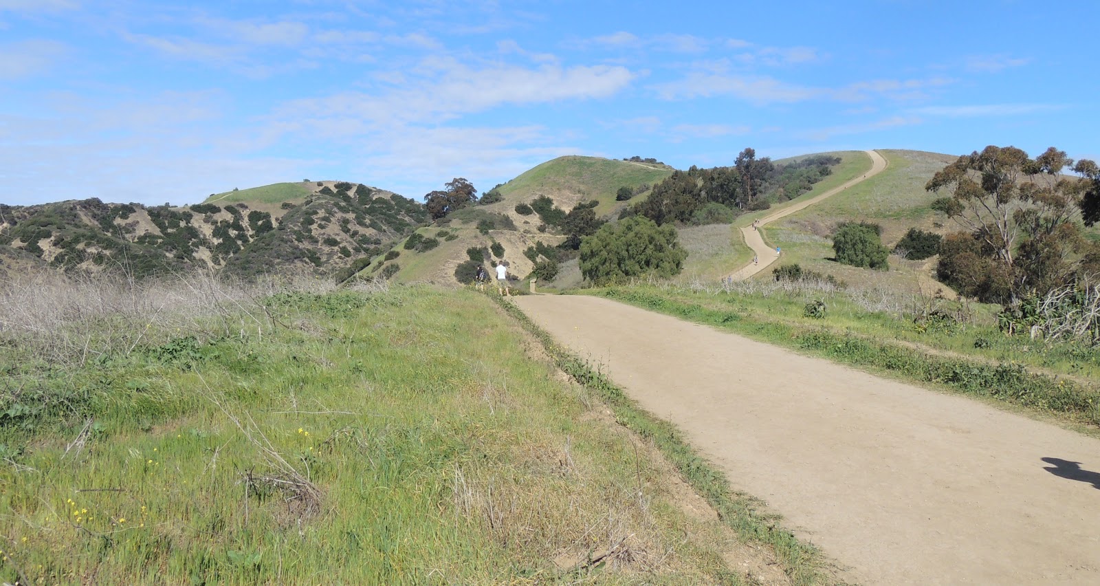 1000 Hikes in 1000 Days Day 838 Hellman Park Trail Peppergrass