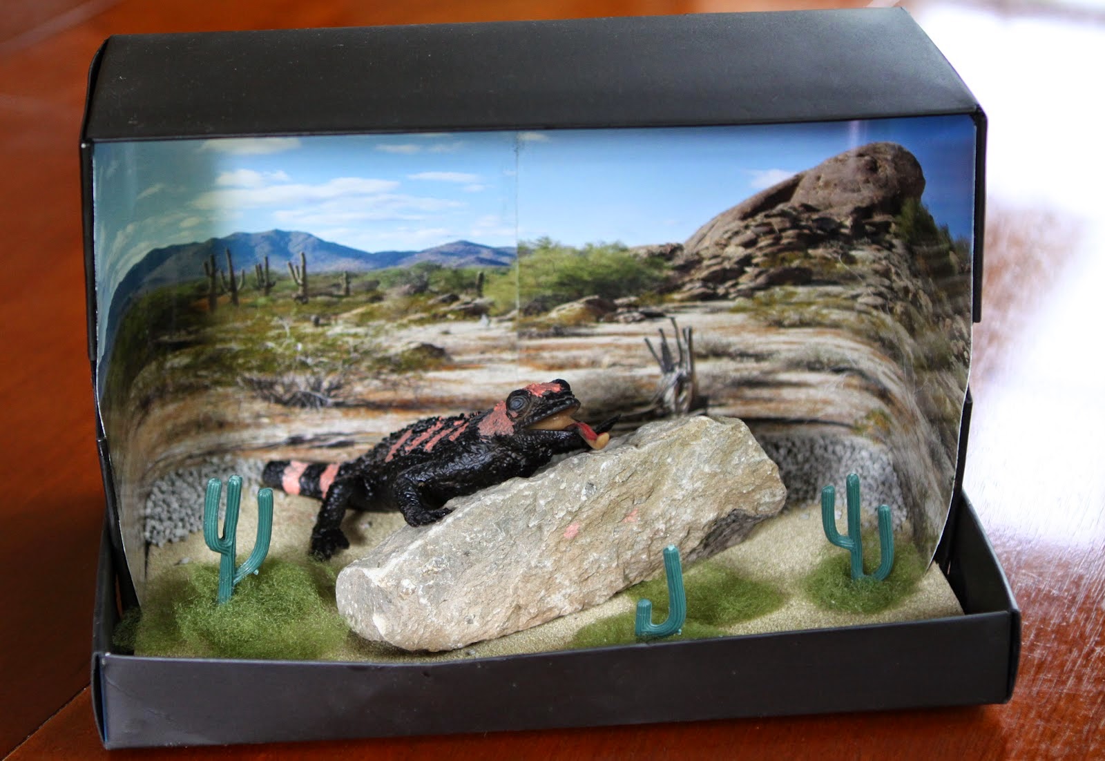 Mrs. Hoschouer Animal Diorama