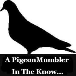 #Pigeonmumbler