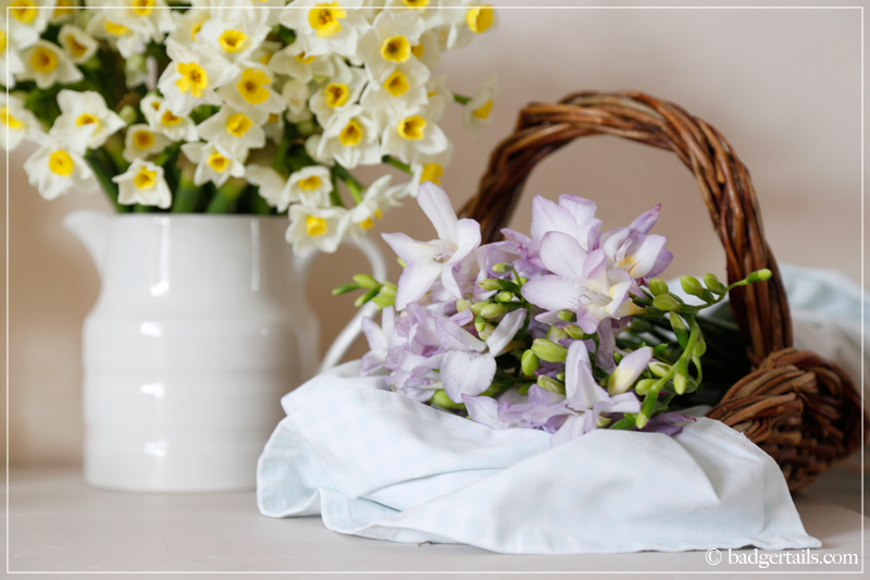 Lilac Freesia in Basket with Narcissus