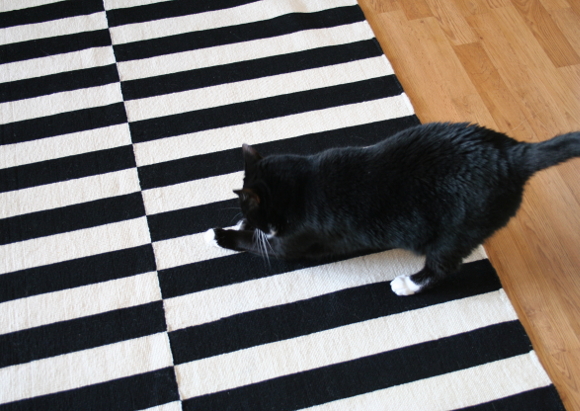 ... white IKEA Virring rug which the cats also scratch, but because itu0027s a low pile rug, their nails