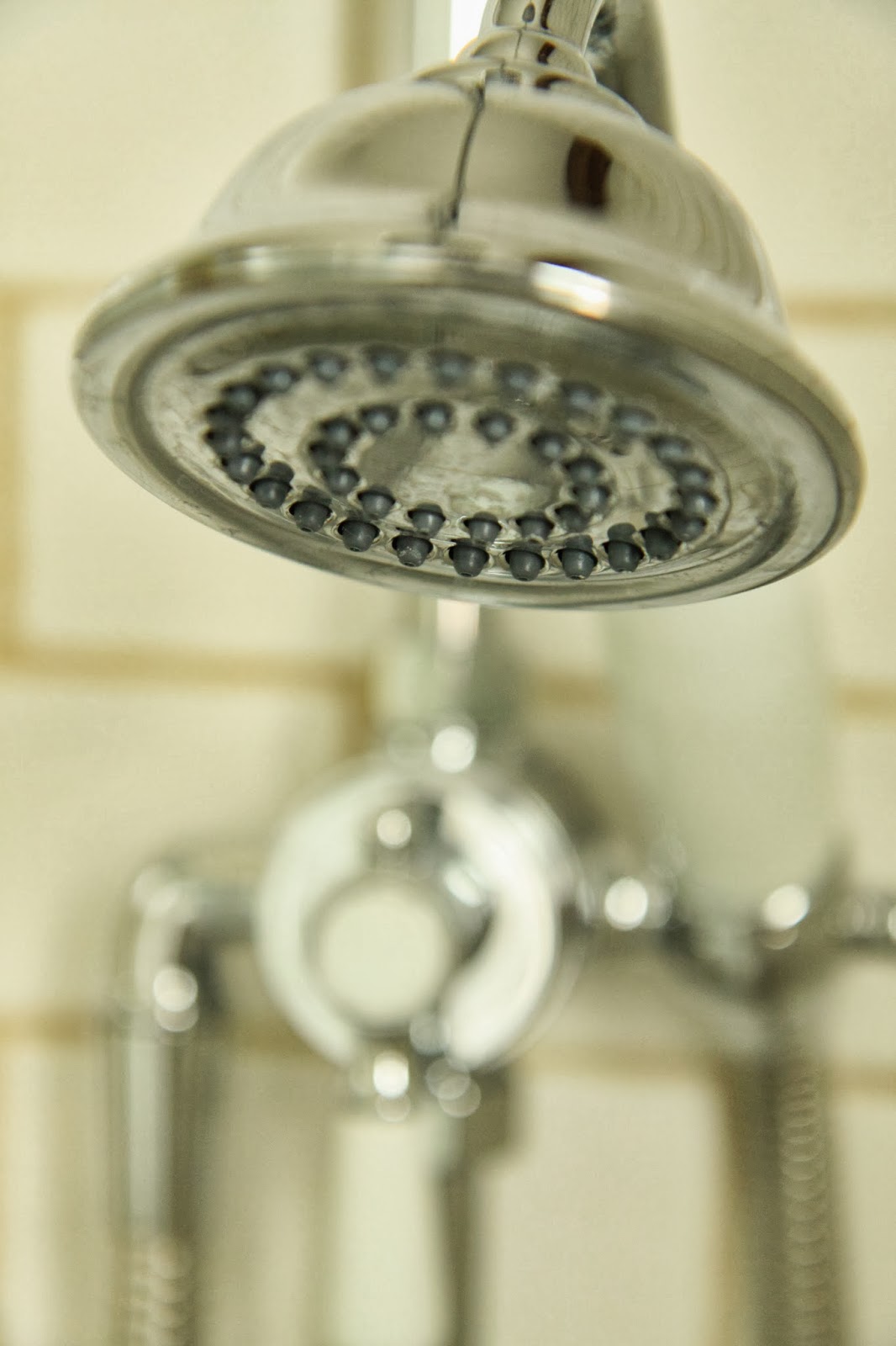 Modern Country Style The Best Shower In The World?