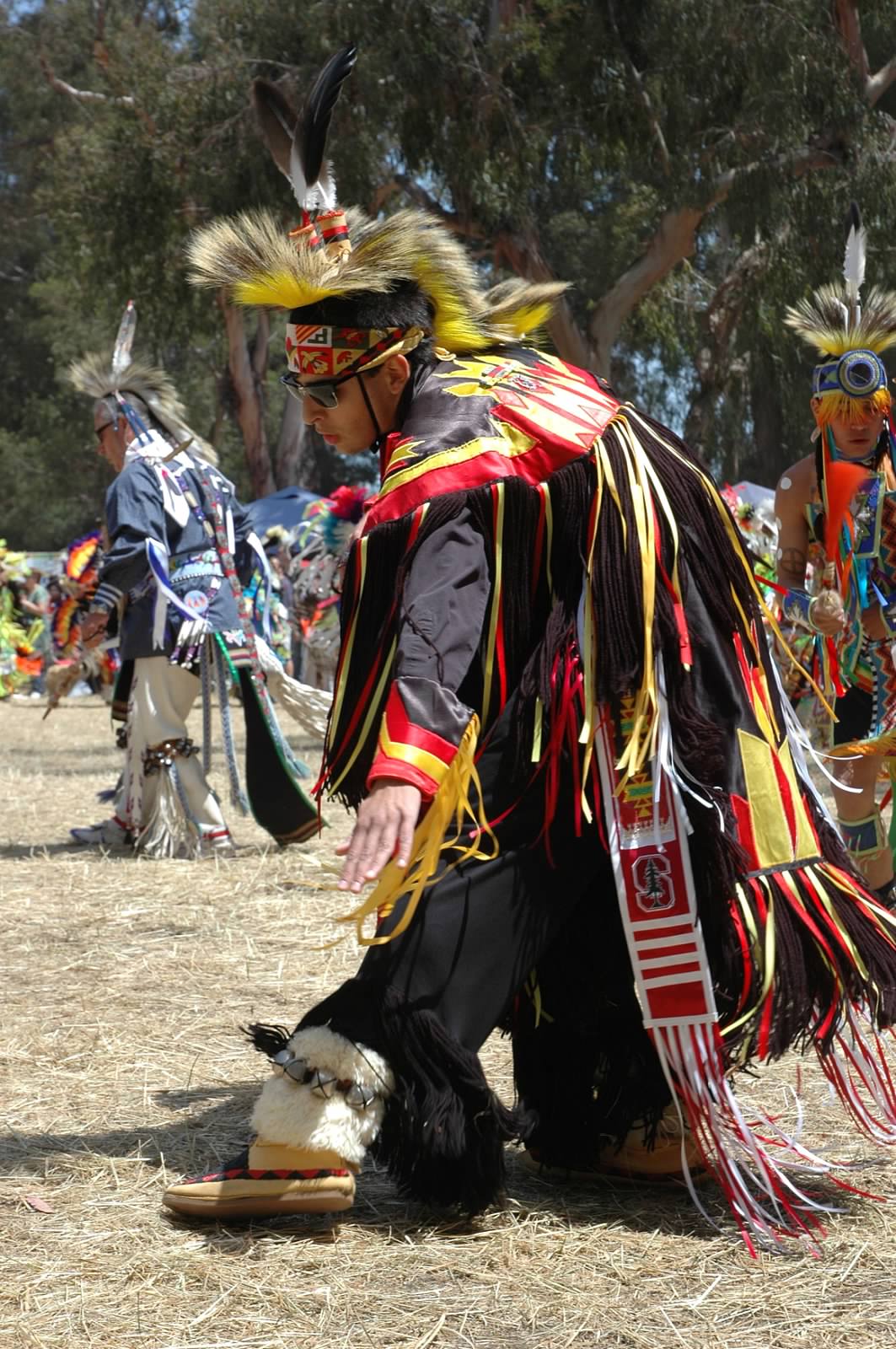 White Wolf Honoring Diversity, and Moms, at Stanford University Pow