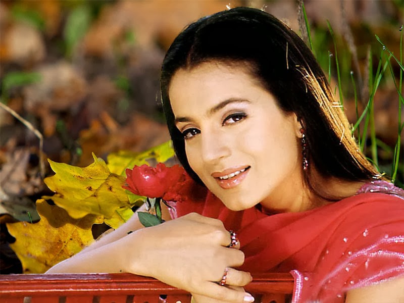 Amisha patel hd wallpapers