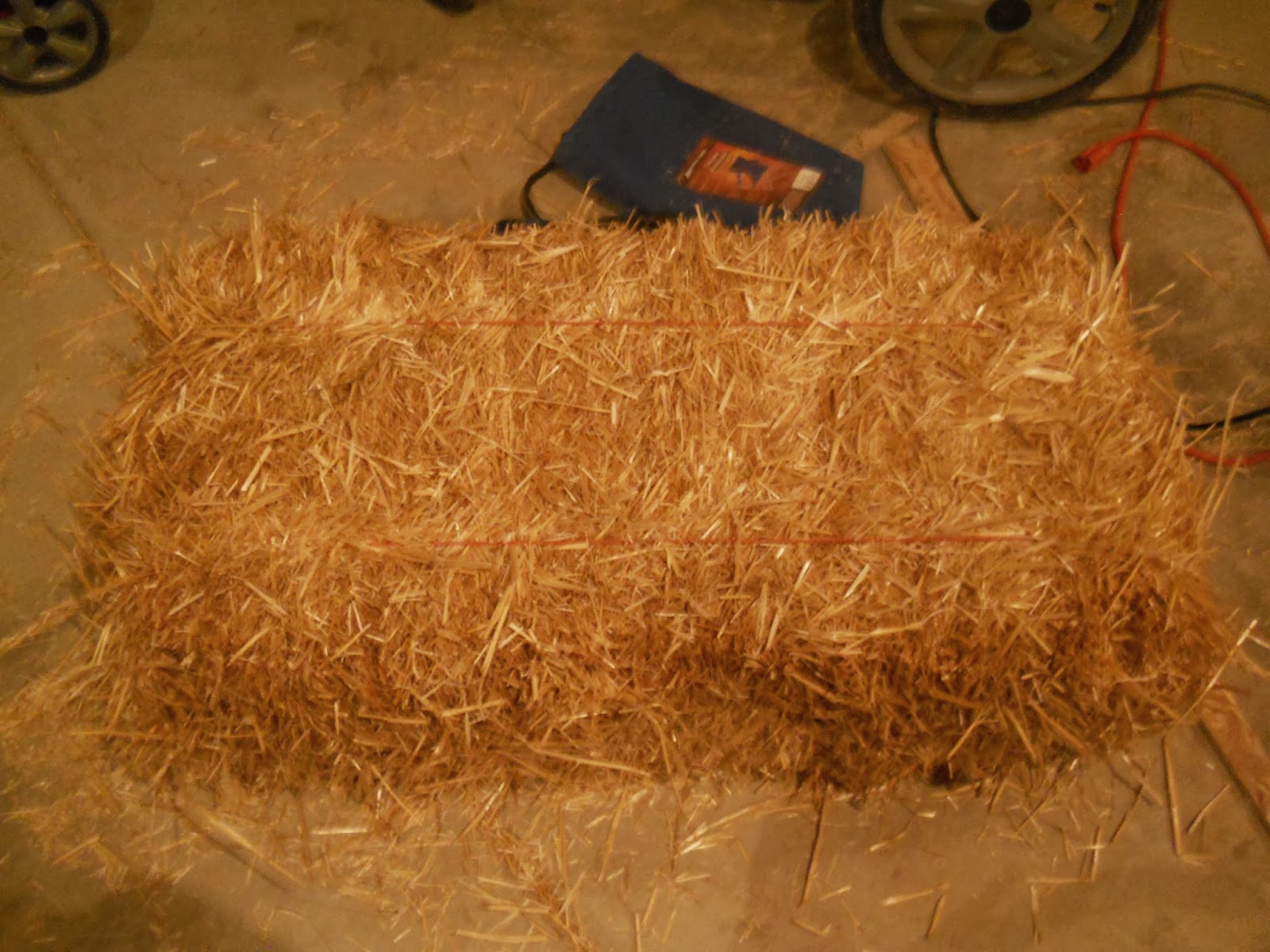 Bring Back the Farm: Painting the Chicken Coop Project