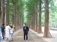 Nami Island, Korea