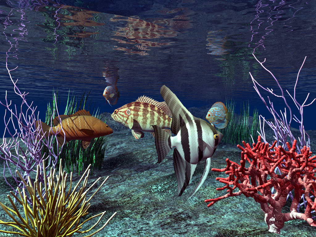 Real Wallpapers: 3D Fish Wallpaper