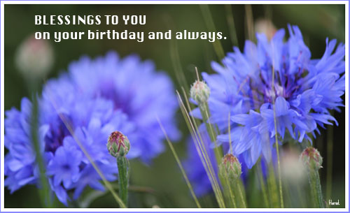 a birthday prayer for my daddy moments of words