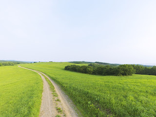 Best Desktop HD Wallpaper - Spring Wallpapers