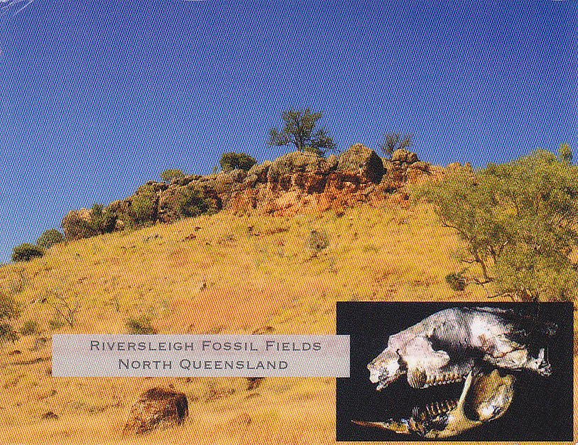 My UNESCO World Heritage Postcards Australia Australian Fossil