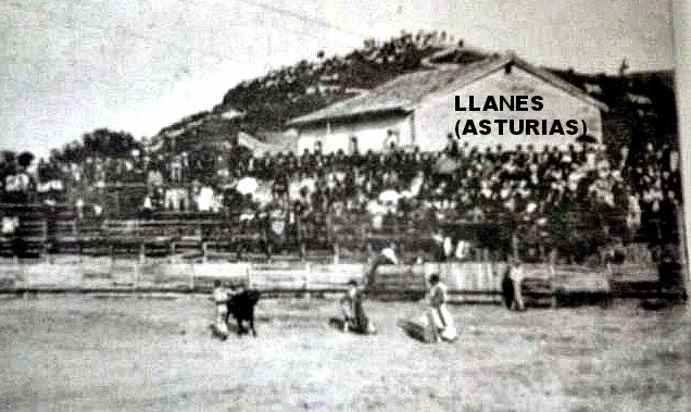 LLANES TOROS