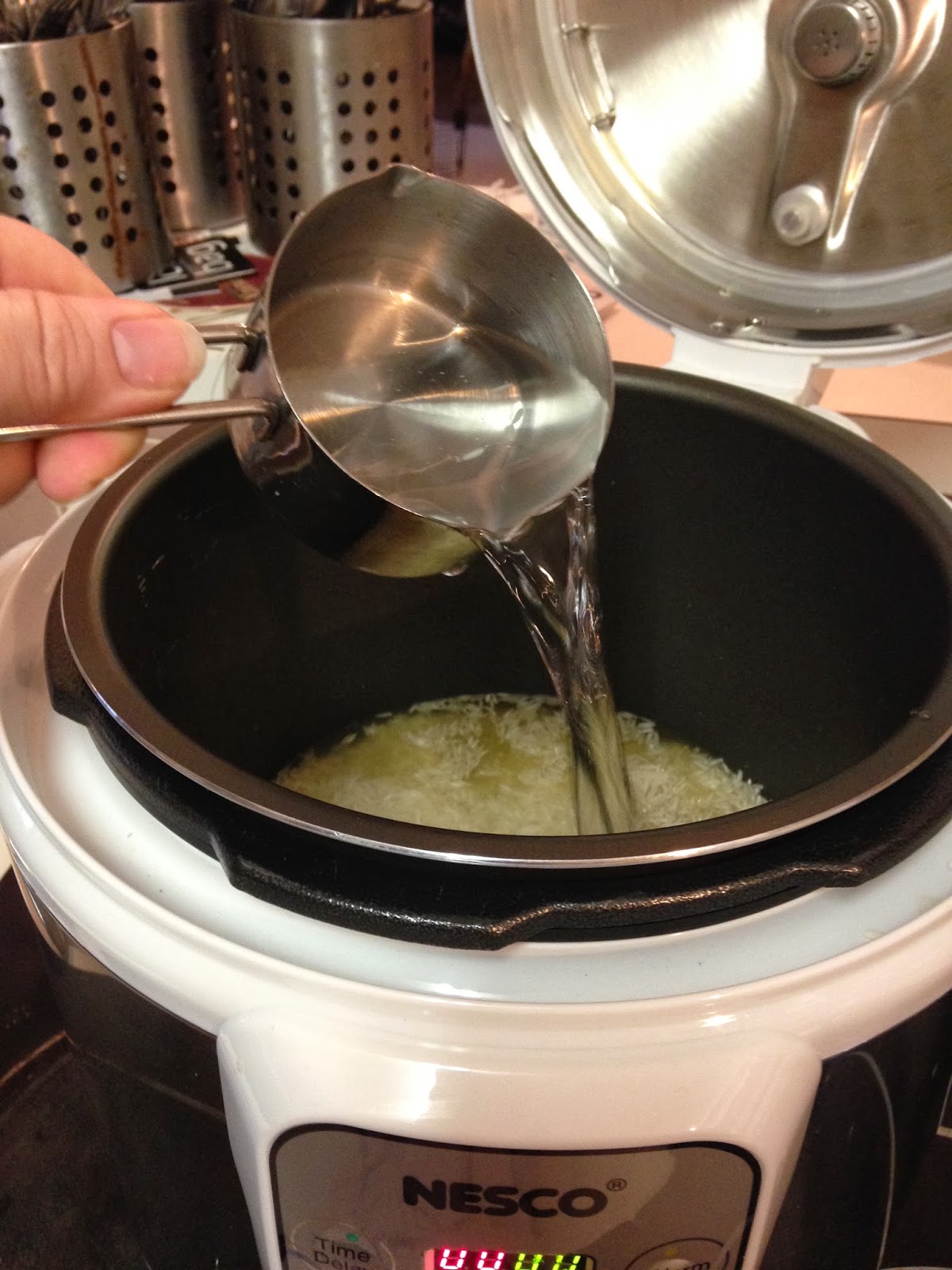 Tracy Cooks in Austin Whole Chicken in the pressure cooker, the new