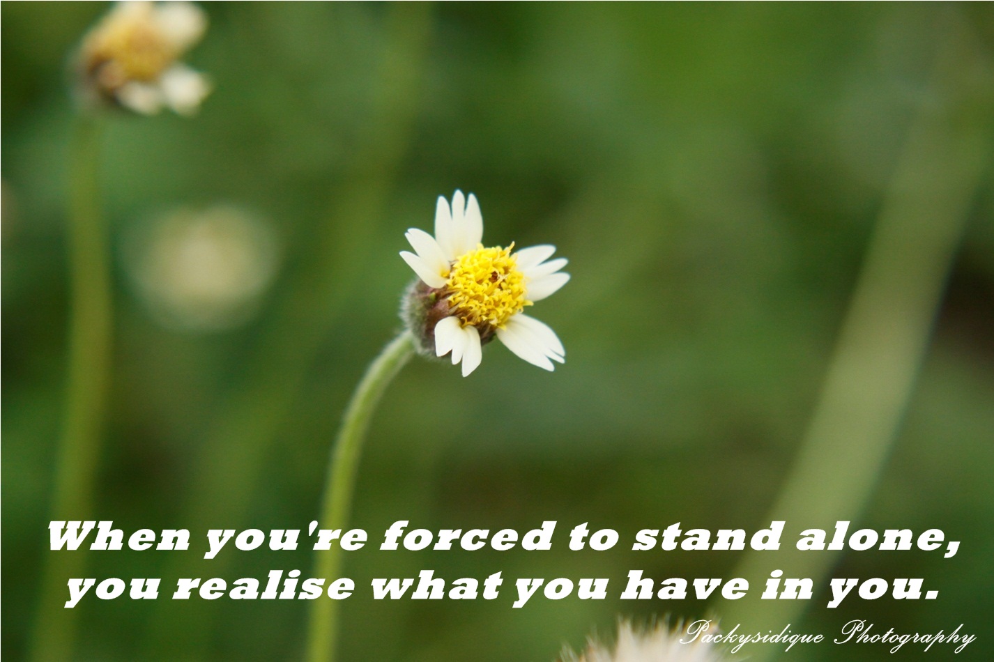 A JOURNAL OF MY LIFE: LONELY QUOTES PHOTOS