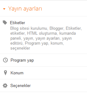 Blogger yayın ayarları