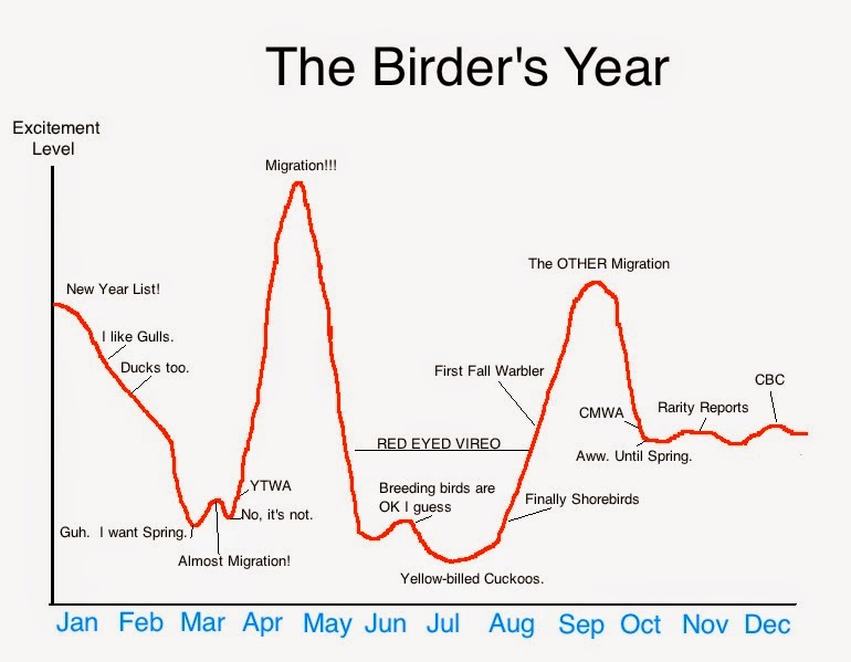 birders here get quite enthusiastic about the christmas bird count but if i could i would also add the winter bird list to the chart above - Christmas Bird Count birders here get quite enthusiastic about the christmas bird count but if i could i would also add the winter bird list to the chart above - Christmas Bird Count
