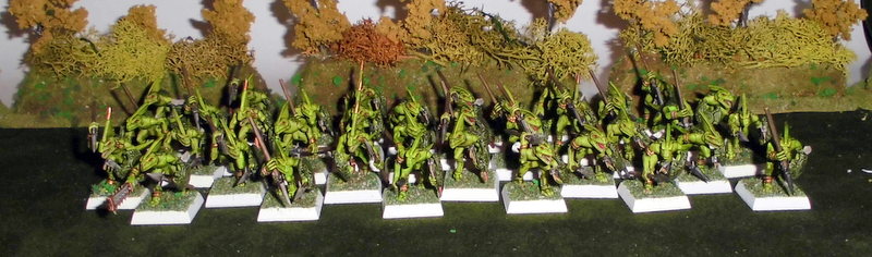 Armée Warhammer Battle 1-CIMG1286