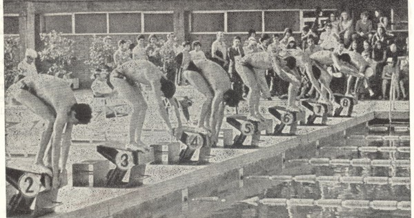 DEPORTES ACTUALES la historia de la natación