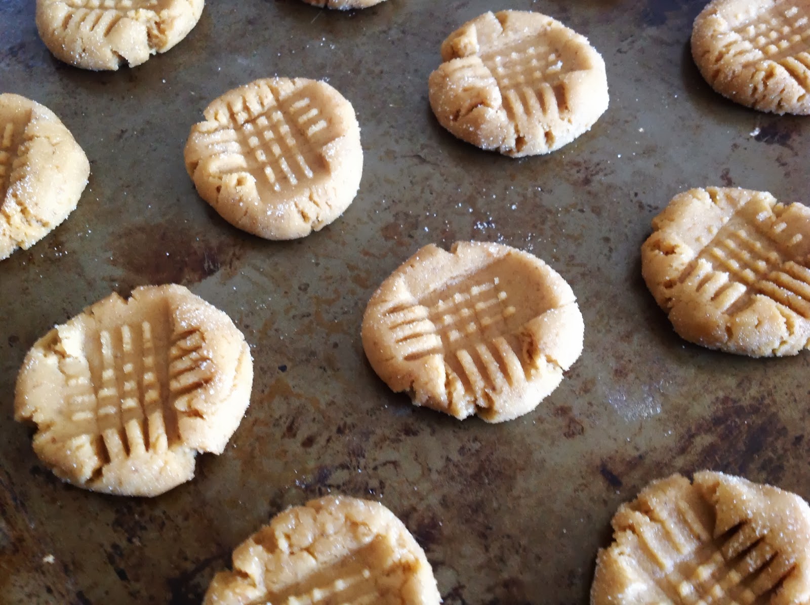 No Empty Fridge Peanut Butter Cookies