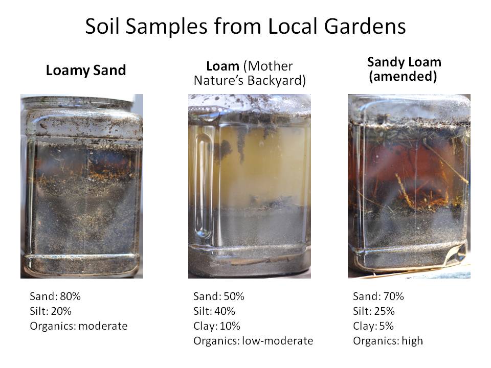 Mother Nature's Backyard - A Water-wise Garden: Getting to Know Your