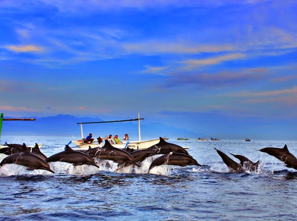 Pantai Lovina Bali, Melihat Lumba Lumba dari Dekat