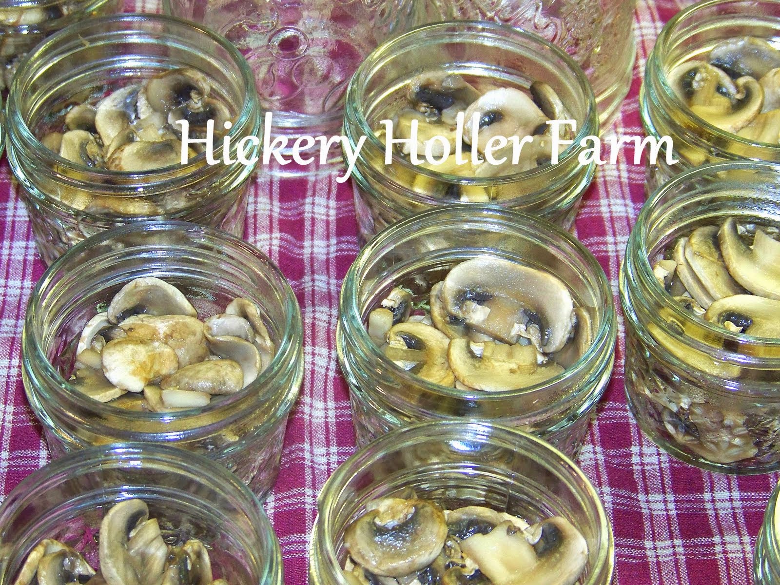 Canning Mushrooms (sliced Or Whole) • The Rustic Elk
