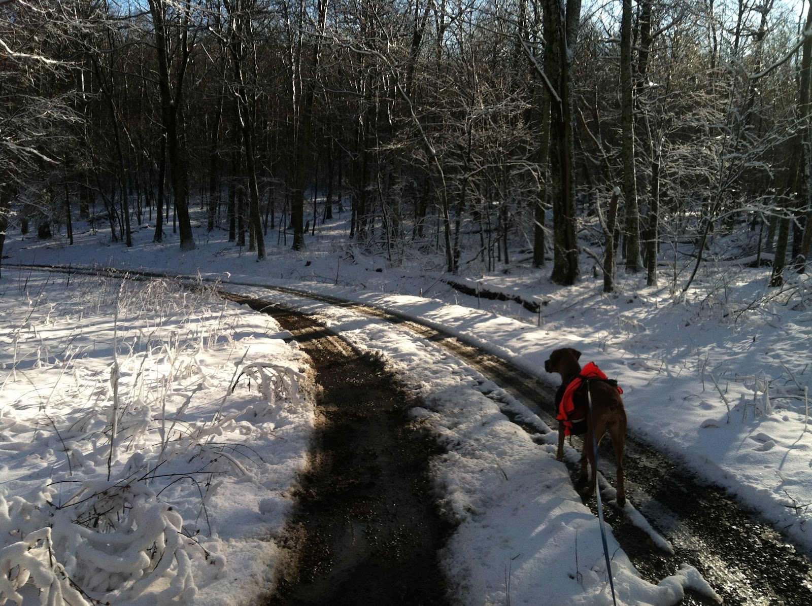Wandering Virginia Jones Mountain Trail/Staunton River Trail Loop