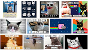 Although many of your friends might disagree, the internet consists of far . (cat meme image for blog post)