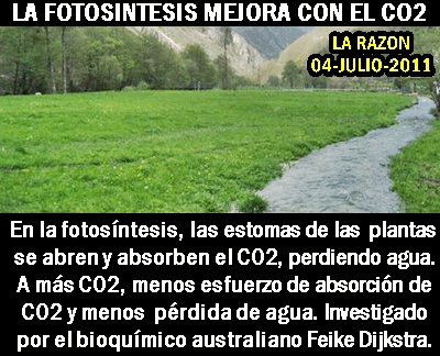 mientrastanto curiosidades calentamiento fotosintesis