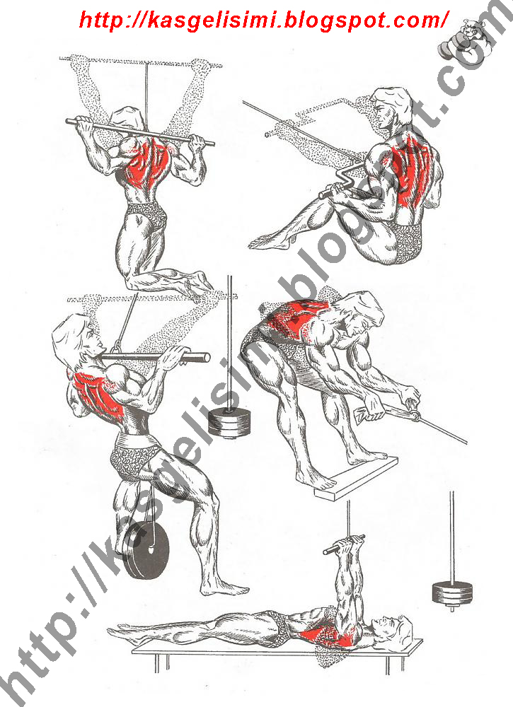 kol ve omuz inceltme hareketleri resimli