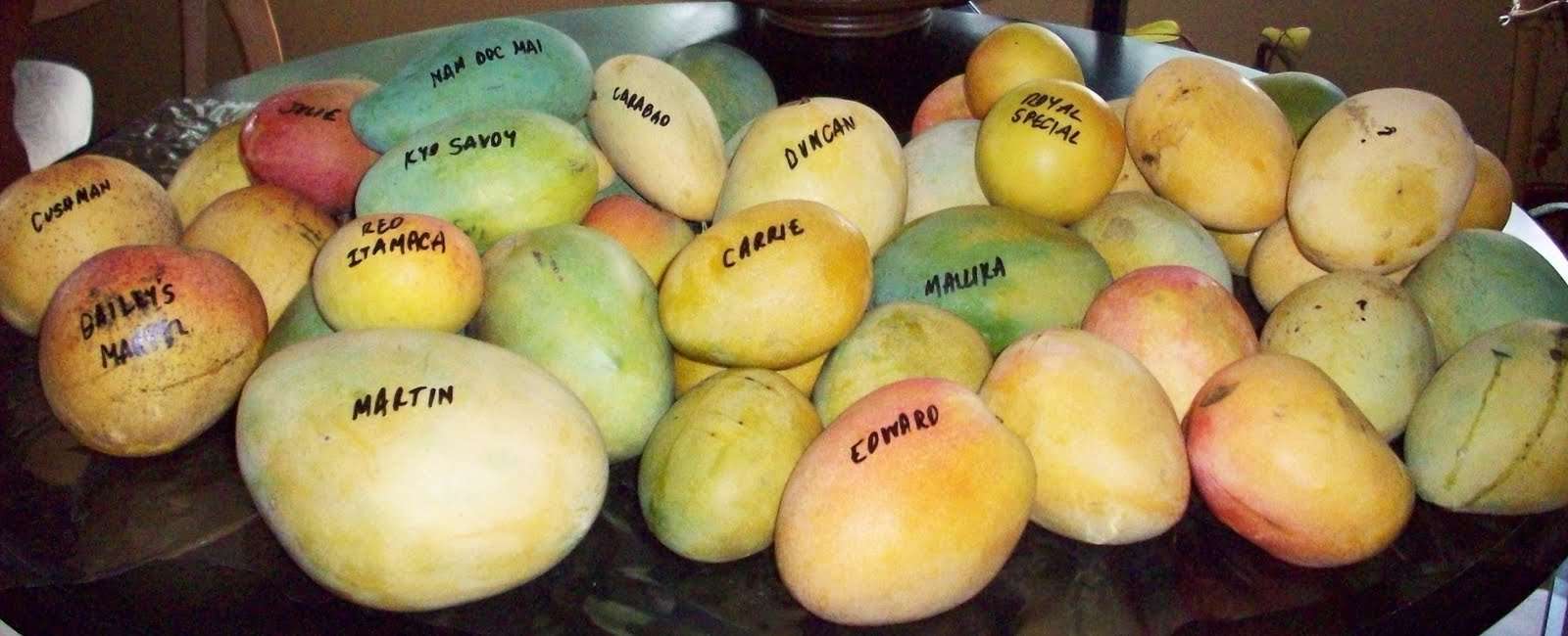 I likE plants! TREC Mango Bonanza