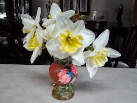 Daffodils 2013