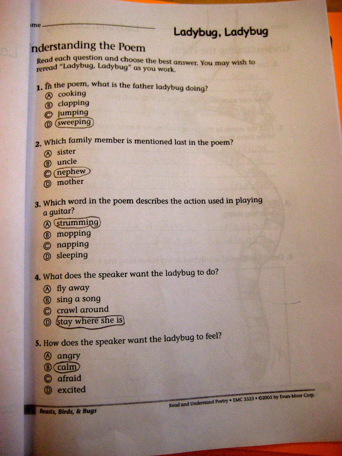 Ms. Liebel's Classroom: Poetry Unit: Ladybug, Ladybug