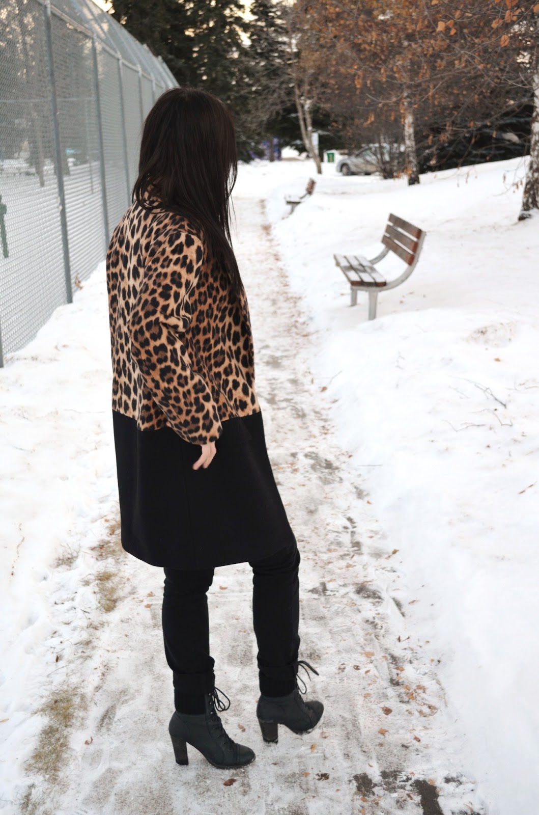 crazy cat lady / bornlippy