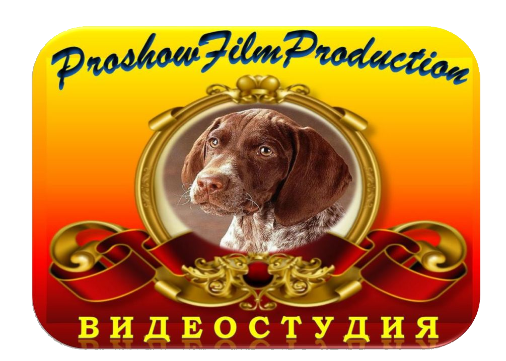 СТУДИЯ ProshowFilmProduction