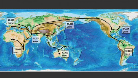 Human Migration Out of Africa