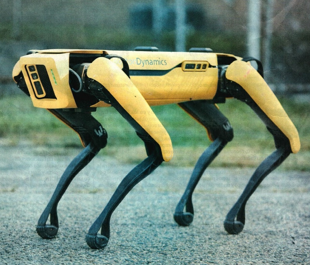 UN PERRO ROBOT 2020