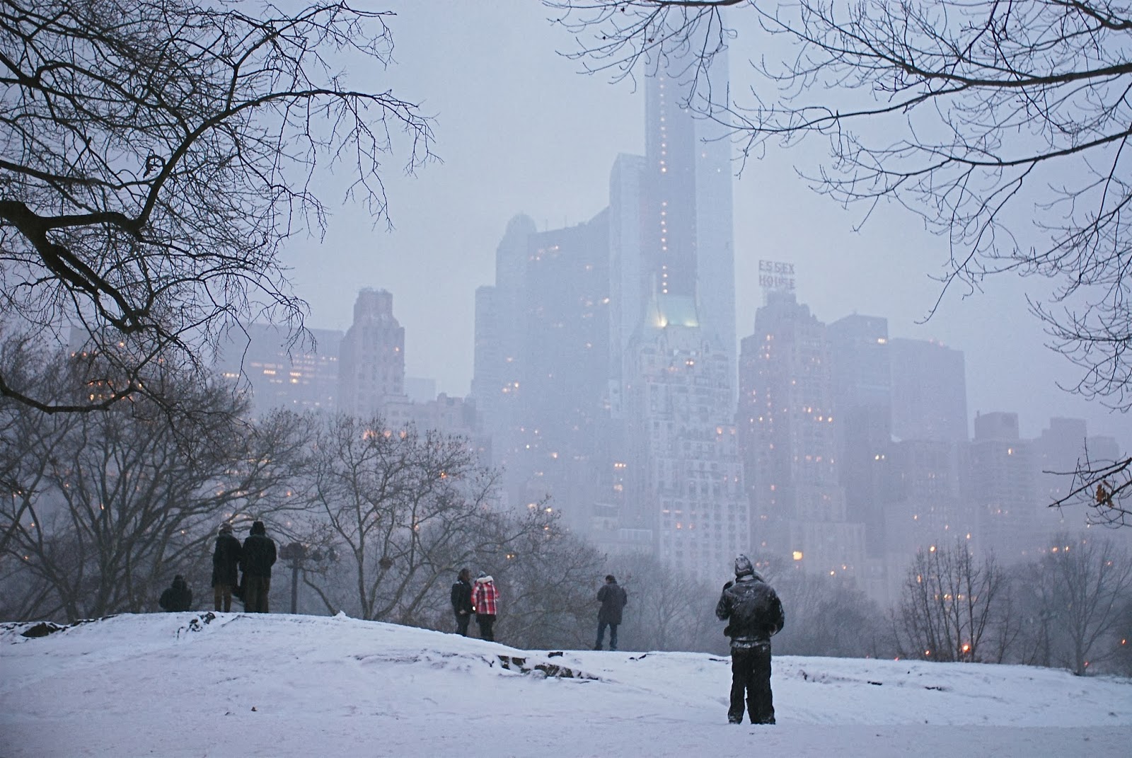 NYC ♥ NYC Snowy Central Park