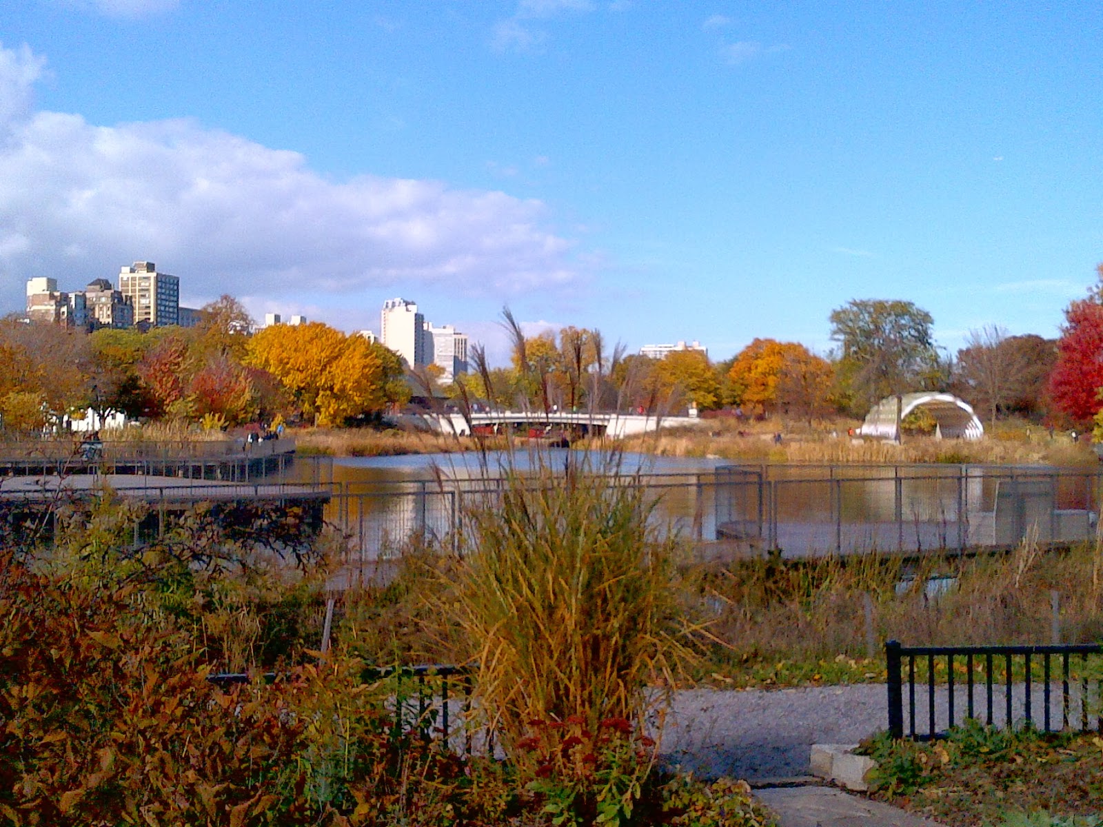 The Chicago Real Estate Local Fall colors Nature Boardwalk at Lincoln Park Zoo