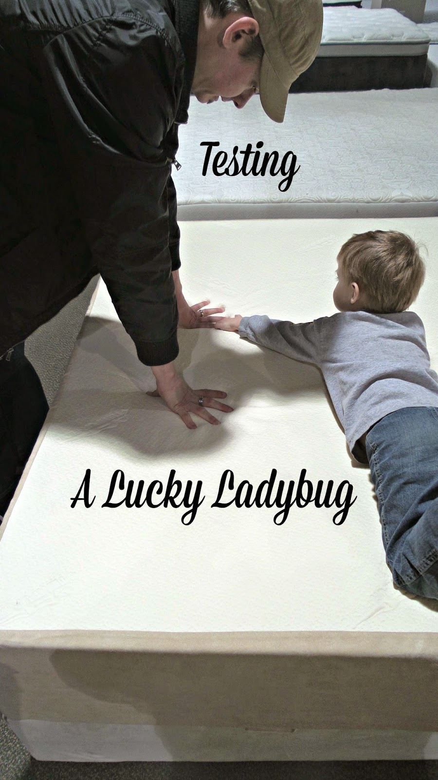 A Lucky Ladybug Tempflow My Road To The Perfect Mattress Inside