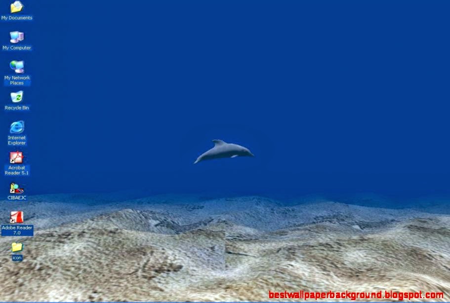 Animated Wallpaper Evolution Wallpaper Animated Wallpaper Evolution Wallpaper