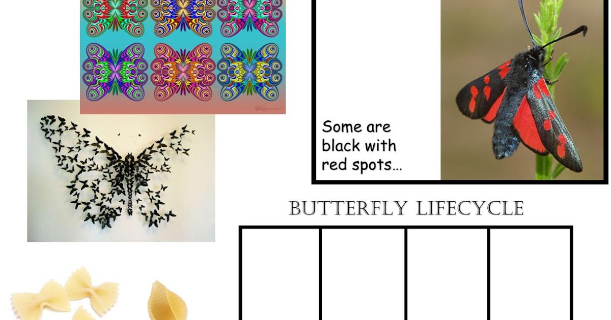 Teaching Resource Butterflies Minibeasts Bugs Insects KS1 EARLY YEARS