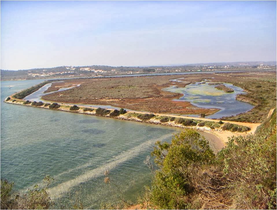 Educação Ambiental n'A ROCHA Habitats da Ria de Alvor