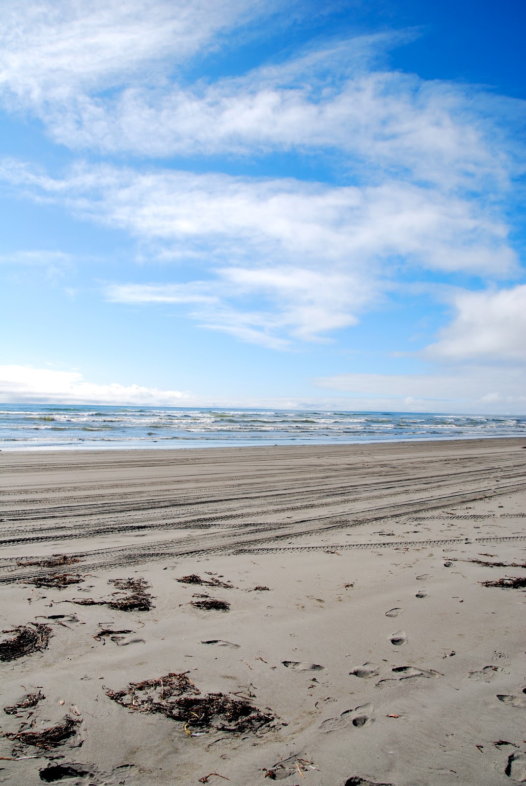 Wanderlust Traveler Ocean Shores, Washington