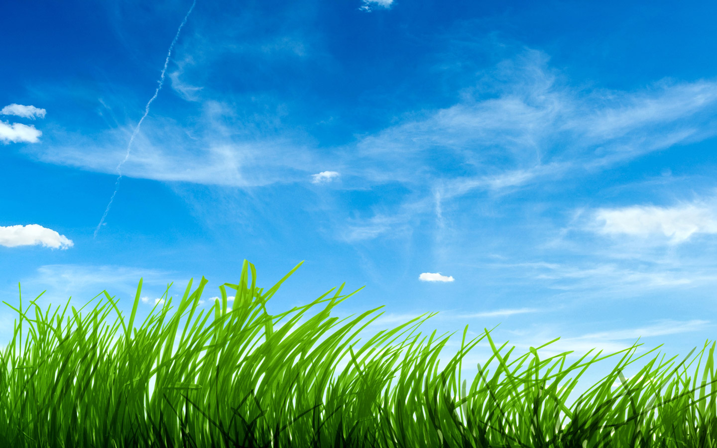 http://1.bp.blogspot.com/-hjfm_VvQtG8/T3ozH4XD1BI/AAAAAAAAA3c/i4FTmGFGNXQ/s1600/Beautiful-HD-Wallpaper.jpeg