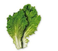 patta salad hindi english lettuce name vegetable part