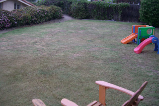 The Nicholas Party: Backyard Crashers!