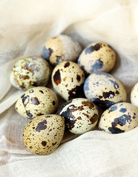 [Japanese Recipes] Quail Eggs - All Asian Recipes For You