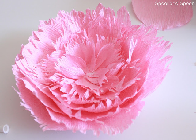 Crepe Paper Flower Tutorial from Spool and Spoon -- perfect alternative to a bow!