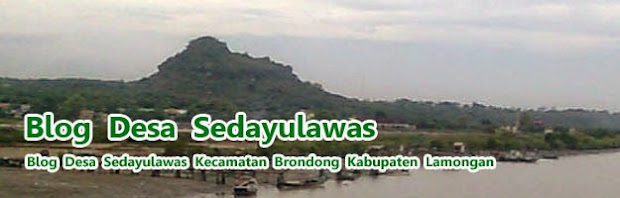 Blog Desa Sedayulawas